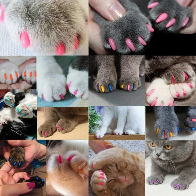 Imported Soft Silicone Nail Caps For Cats (Pack of 20)