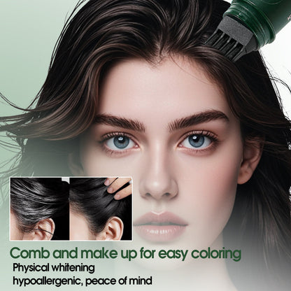 2-in-1 Hair Dye Stick with Comb