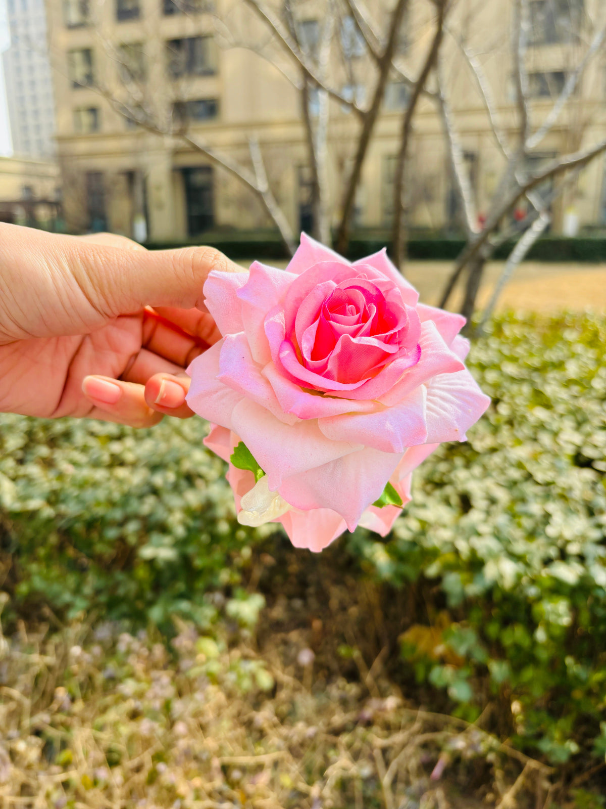 Elegant Rose Hair Claw